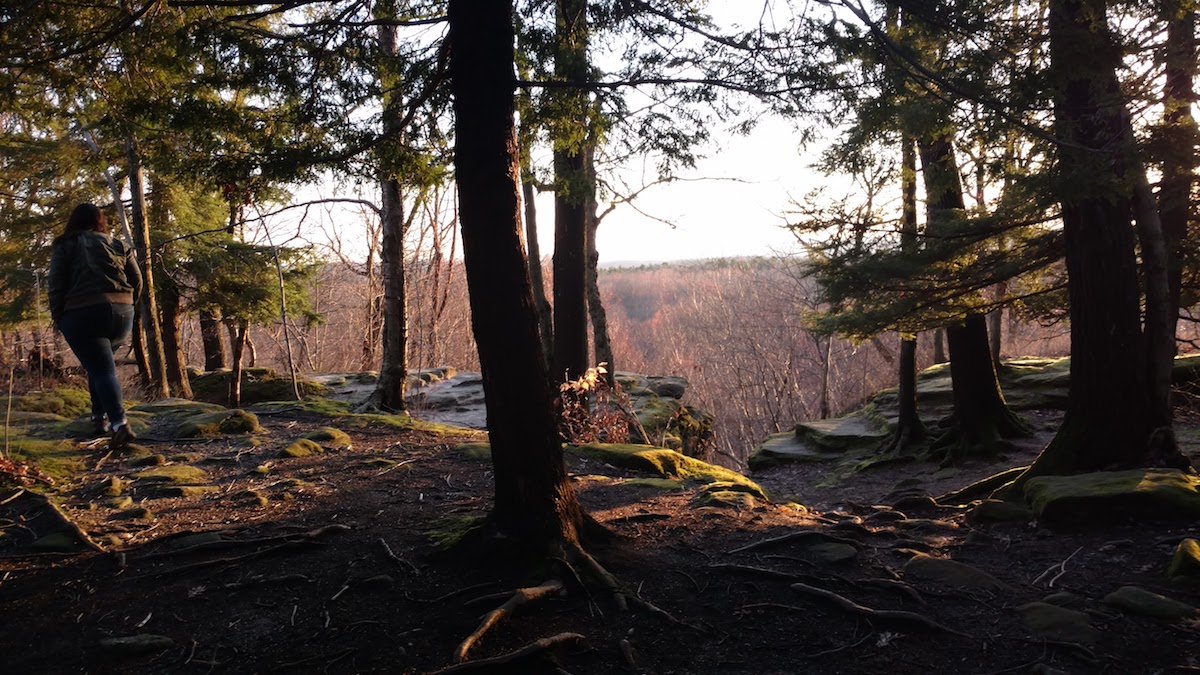 A picture of the sun setting on a rocky path with hemlocks.